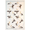 PELICANS Cotton/Linen Tea Towel - BC412