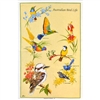 AUSTRALIAN BIRD LIFE Cotton/Linen Tea Towel - BC414