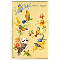AUSTRALIAN BIRD LIFE Cotton/Linen Tea Towel - BC414