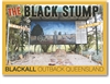 The Black Stump - Standard Postcard  BLA-005