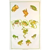 FROGS 99 Cotton/Linen Tea Towel - C709