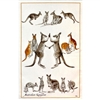 KANGAROO 94 Cotton/Linen Tea Towel - C722