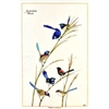 WRENS Cotton/Linen Tea Towel - C727