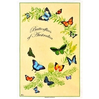 BUTTERFLIES OF AUSTRALIA Cotton/Linen Tea Towel - C731