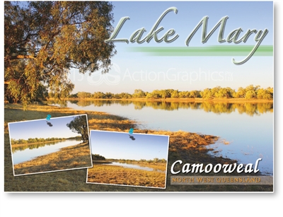 Lake Mary - Standard Postcard  CAM-003