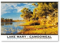 Lake Mary - Standard Postcard  CAM-138