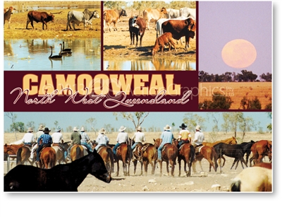 Camooweal North West Queensland - Standard Postcard  CAM-142