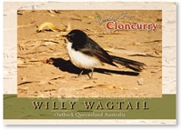Willy Wagtail - Standard Postcard  CLO-007
