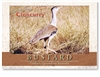 Bustard - Standard Postcard  CLO-012