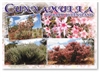 Cunnamulla Outback Queensland - Standard Postcard  CUN-002