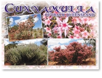 Cunnamulla Outback Queensland - Standard Postcard  CUN-002
