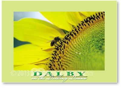 Sunflower - Standard Postcard  DAL-192