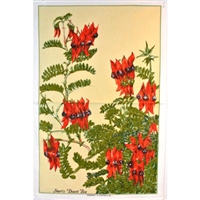 STURT DESERT PEA Cotton/Linen Tea Towel - FC211