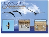 Karumba, Birdlife in the Gulf - Standard Postcard  KAR-001