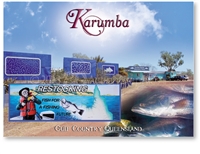 Barramundi Restocking, Karumba - Standard Postcard  KAR-002