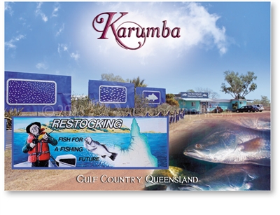 Barramundi Restocking, Karumba - Standard Postcard  KAR-002