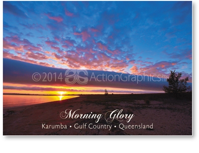 Roll Cloud - Standard Postcard  KAR-006