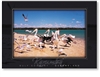 Karumba, Pelicans and Gulls - DISCOUNTED Standard Postcard  KAR-076