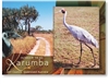 Emu and Brolga Karumba - Standard Postcard  KAR-082