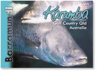 Live Barramundi - Small Magnets  KARM-004