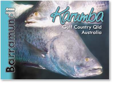 Live Barramundi - Small Magnets  KARM-004