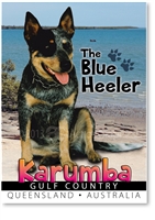 The Blue Heeler - Small Magnets  KARM-008