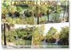 Lawn Hill Gorge, Boodjamulla National Park - Standard Postcard  LAW-006