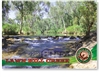 Adels Grove, Lawn Hill Creek, Fully Catered Camping Packages - Standard Postcard  LAW-008
