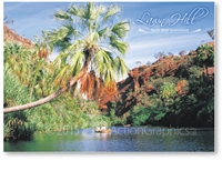 Lawn Hill - Standard Postcard  LAW-329