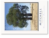 Bottle Tree - Standard Postcard  MIT-440