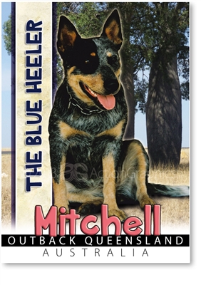 The Blue Heeler - Small Magnets  MITM-002