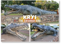 Normanton, Krys the Savannah King - Standard Postcard  NOR-001