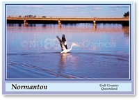 Normanton Gulf Country Queensland - DISCOUNTED Standard Postcard  NOR-098