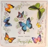 AUSTRALIAN BUTTERFLIES Handkerchiefs - RH053