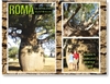 Roma's Largest Bottle Tree - DISCOUNTED Standard Postcard  ROM-429
