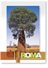 Roma South West Queensland - Small Magnets  ROMM-154