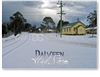 Dalveen Hail Storm - Standard Postcard  STP-002