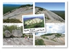 Bald Rock National Park - Standard Postcard  STP-009