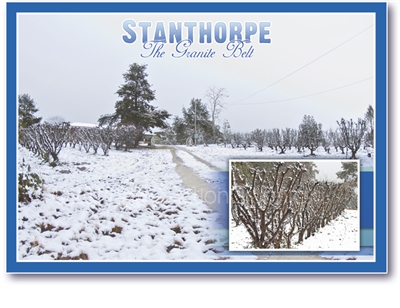 Orchard - Passmore Road - Standard Postcard  STP-016