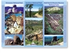 The Granite Belt & Northern New England, National Parks Australia - Standard Postcard  STP-159