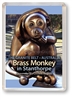 Brass Monkey - Framed Magnet  STPFM-007