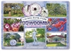 Laurel Bank Park Toowoomba - Standard Postcard TBA-019