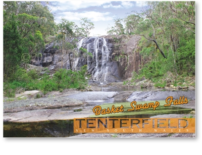 Basket Swamp Falls - Standard Postcard  TEN-003