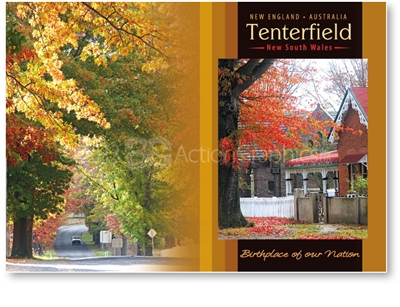 Tenterfield Birthplace of out Nation - Standard Postcard  TEN-477