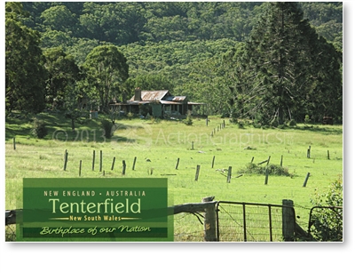 Tenterfield Birthplace of out Nation - Standard Postcard  TEN-478
