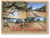 Winton, Combo Waterhole - Standard Postcard  WIN-002