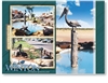 Winton, Pelican Waterhole - Standard Postcard  WIN-149