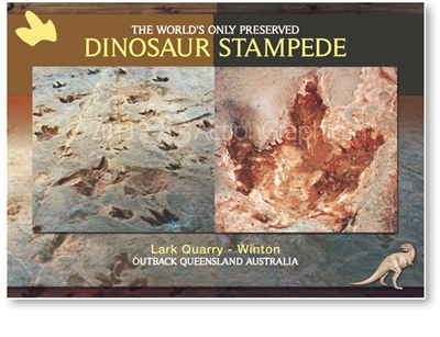 Winton, Dinosaur Stampede  - Standard Postcard  WIN-283
