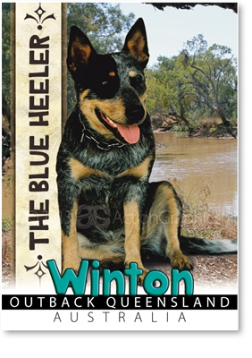 The Blue Heeler - Small Magnets  WINM-008