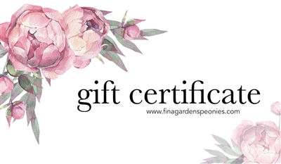 Gift Certificate